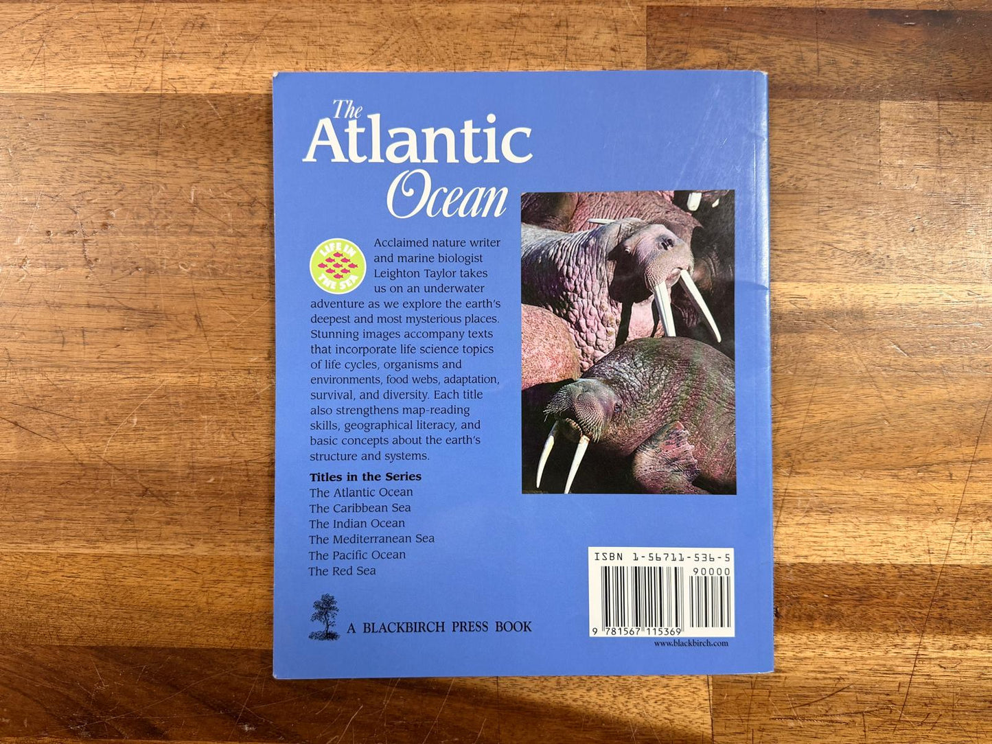 The Atlantic Ocean by Leighton Taylor