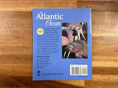 The Atlantic Ocean by Leighton Taylor