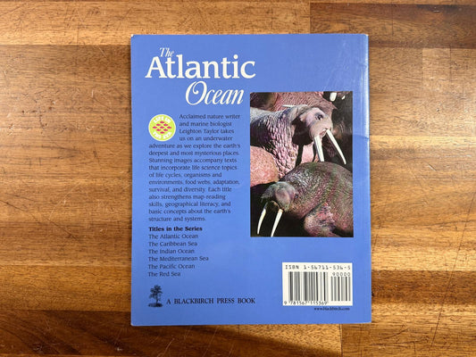The Atlantic Ocean by Leighton Taylor