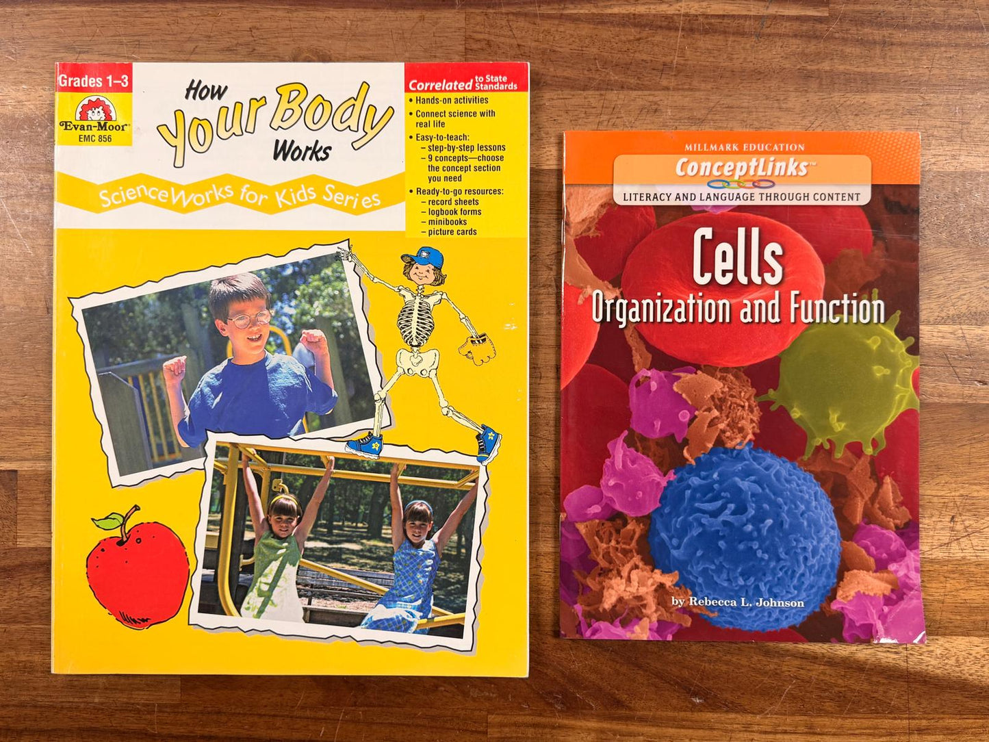 Elementary Human Body Learning Packet of 4