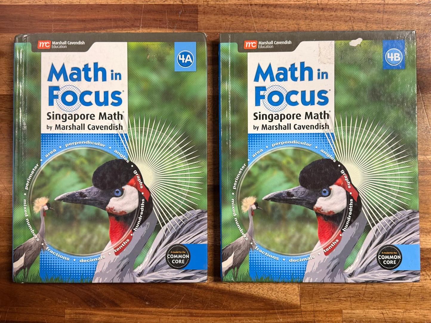 Singapore Math in Focus 4A/4B Textbook & Workbook Set