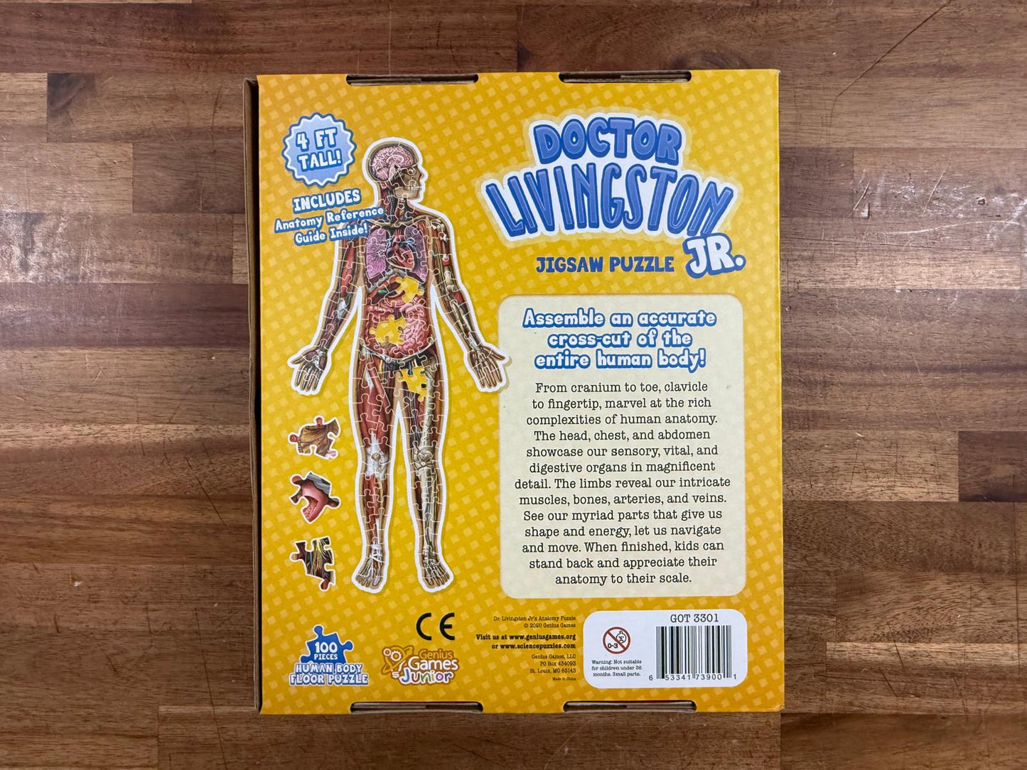 Dr Livingston Jr. Human Body Floor Puzzle 100 Pc Anatomy