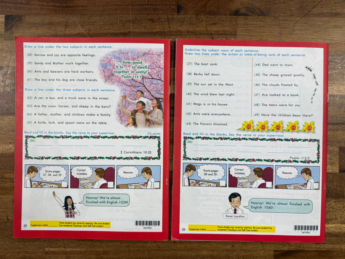 ACE School of Tomorrow English 1039-1040 PACEs (Like New)