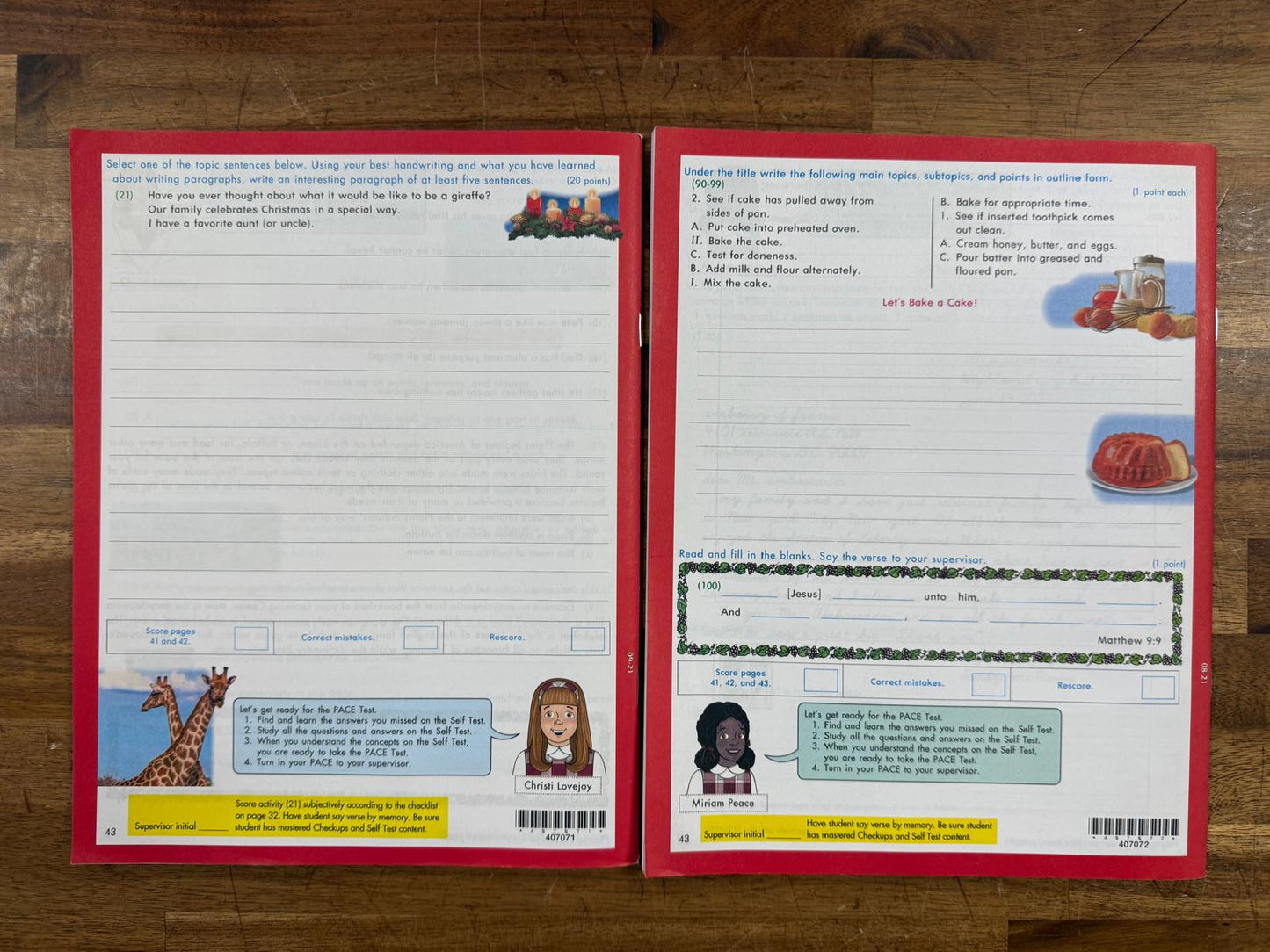 ACE School of Tomorrow English 1069-1072 PACEs(Like New)