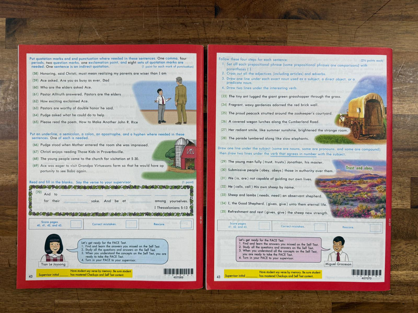 ACE School of Tomorrow English 1069-1072 PACEs(Like New)