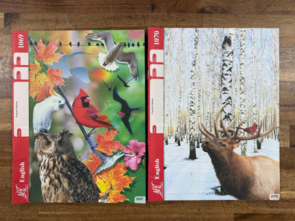 ACE School of Tomorrow English 1069-1072 PACEs(Like New)