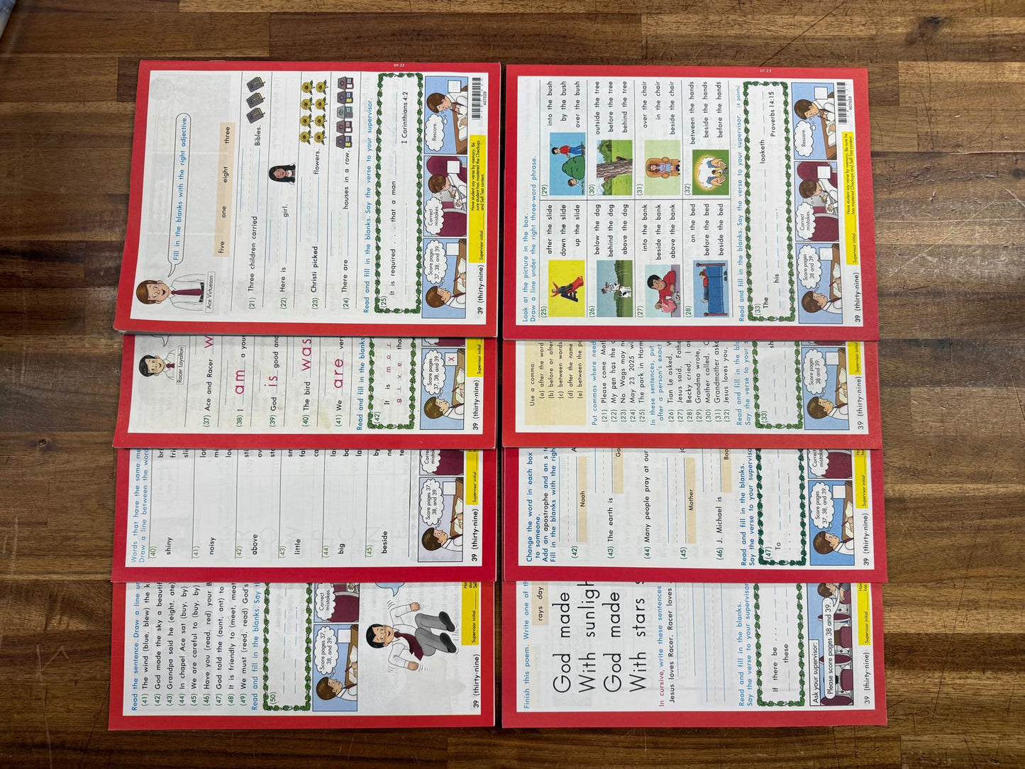 ACE PACE English 4th Edition 1029-1036 (Good - See Description)