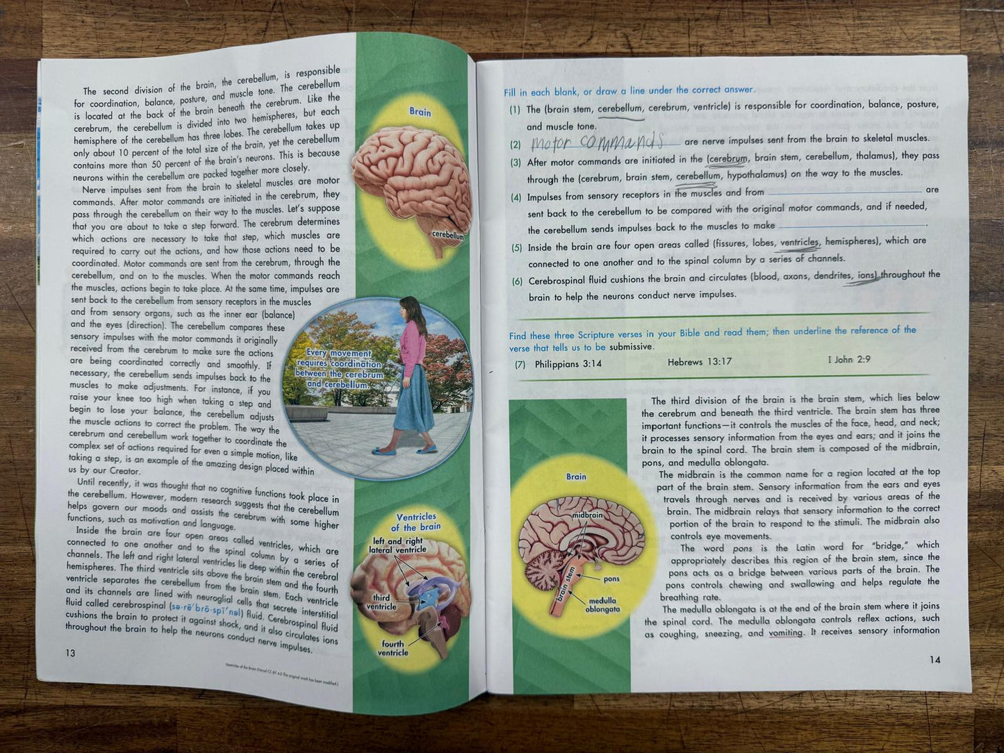 ACE PACE Science 4th Edition Text 1105-1108 (see Description)