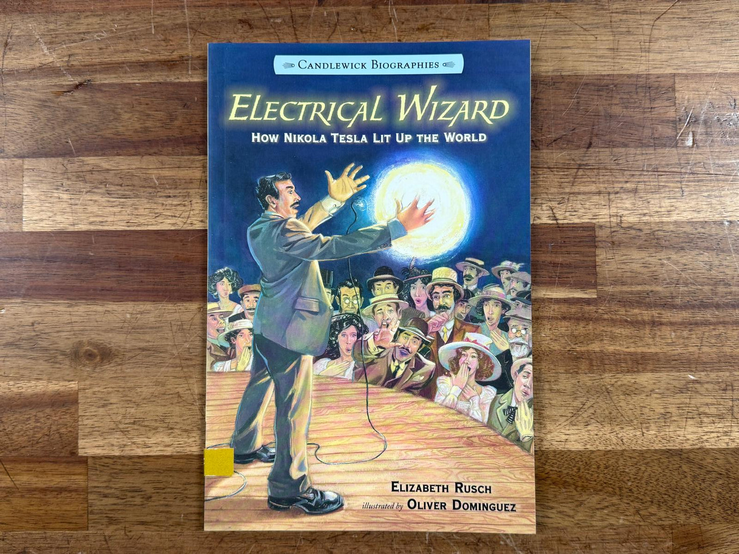 Electrical Wizard: How Nikola Tesla Lit Up the World (VG)