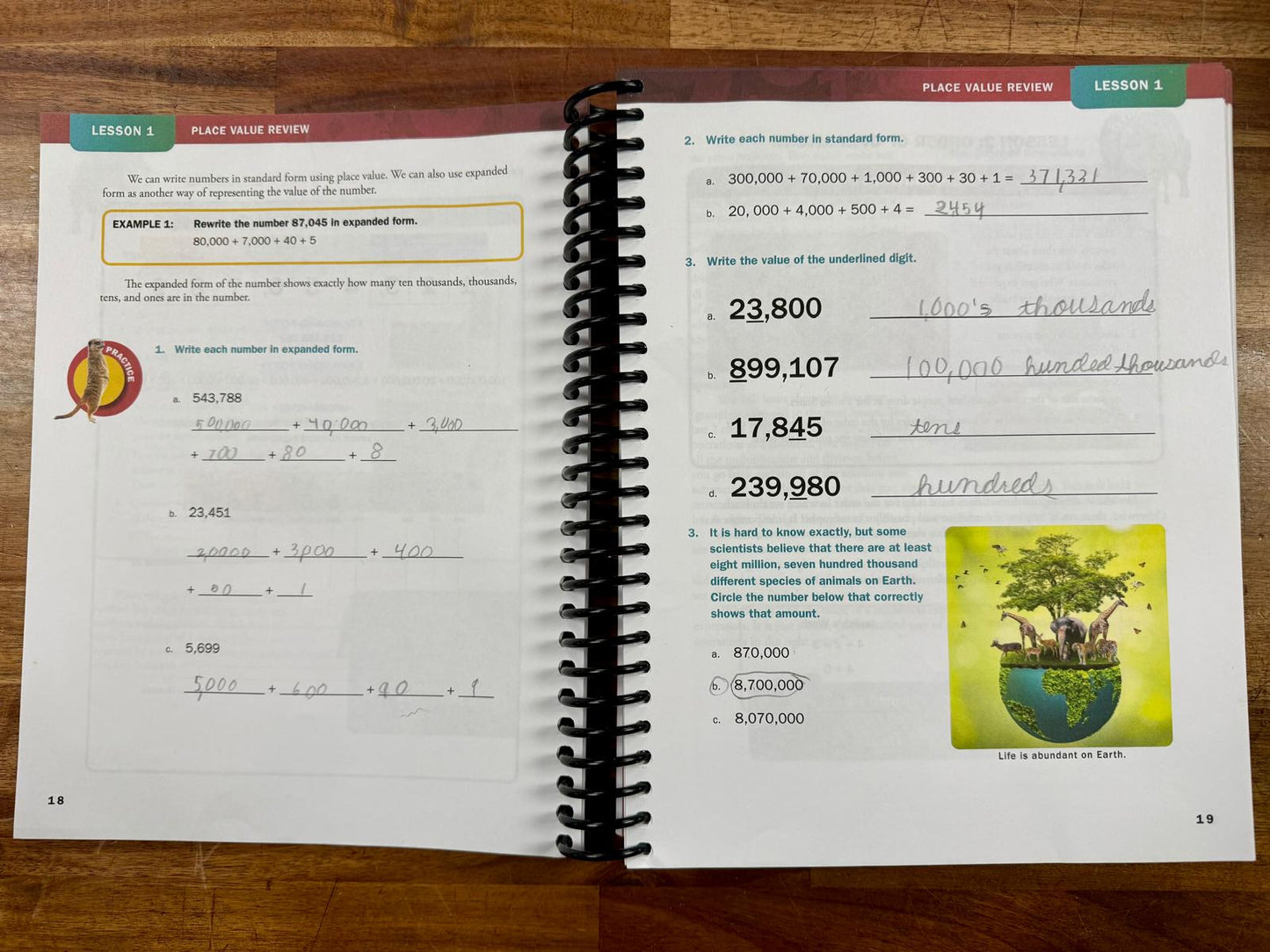 Apologia Exploring Creation w Math Level 5 SET (Acceptable)