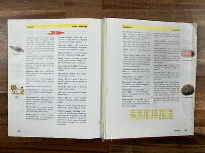 BJU Reading 4 2nd Ed I Met You In A Story Student Text HC