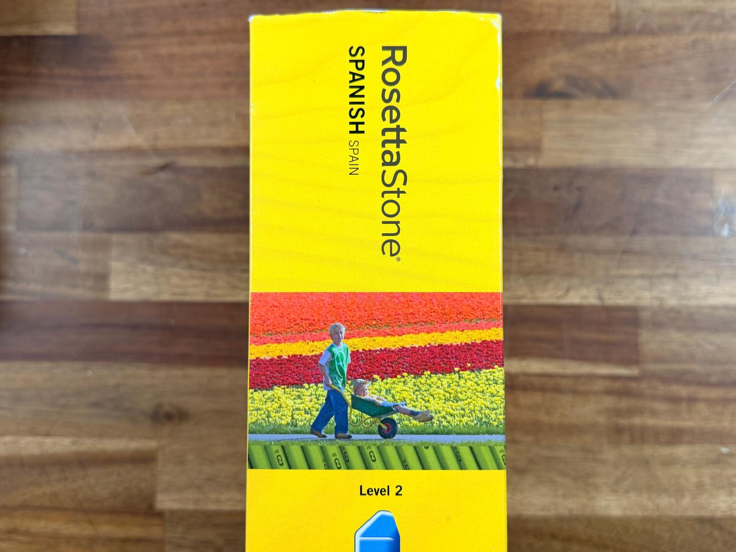 Rosetta Stone Homeschool Spanish Level 2 (NEW)