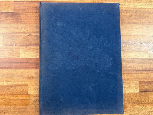 Ruskin The Pantheon Story of Art