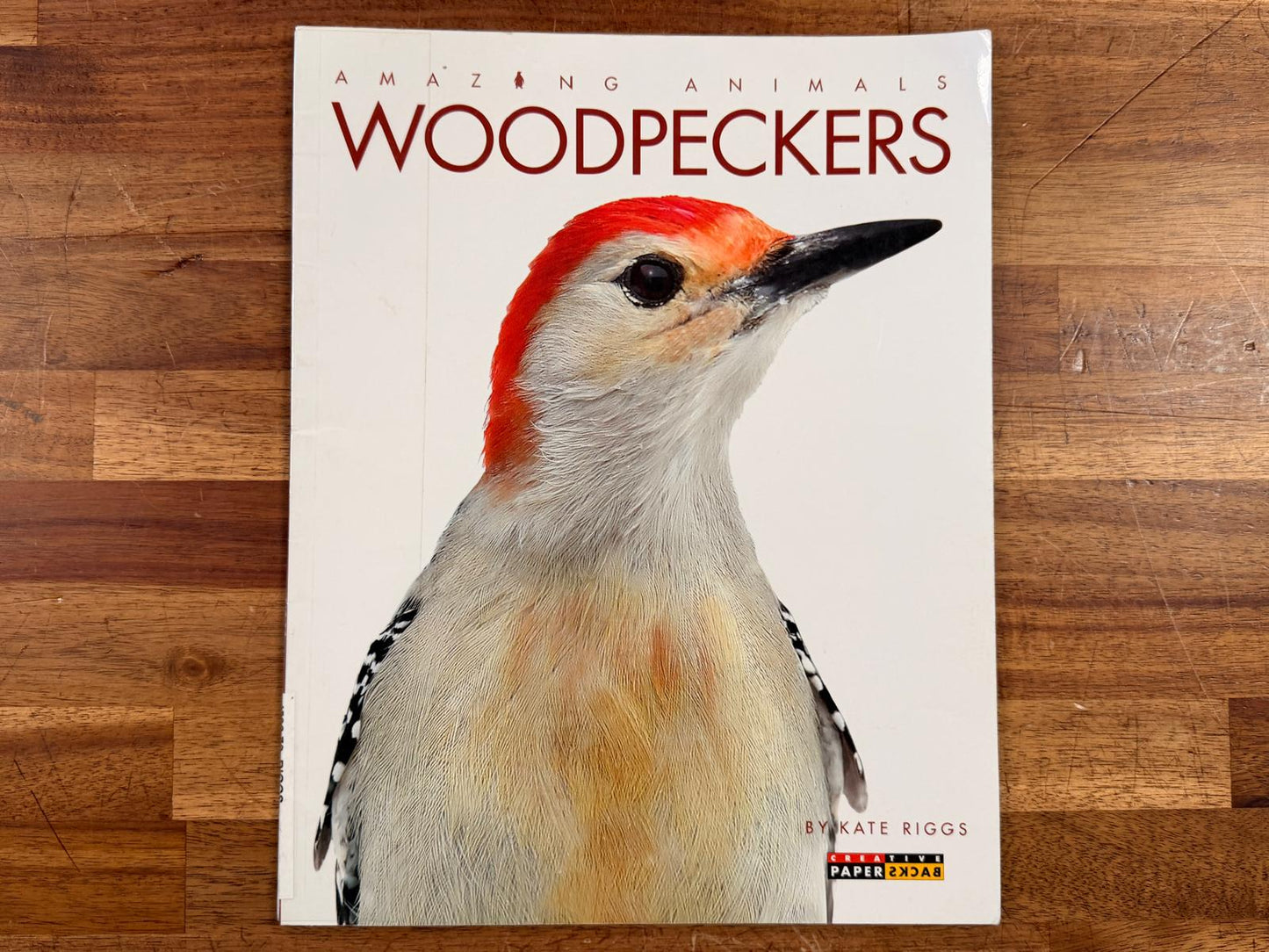 Amazing Animals Woodpeckers by Kate Riggs