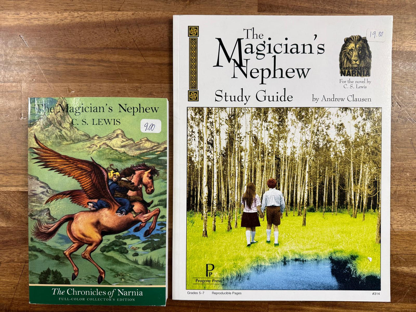 The Magician's Nephew Book + Study Guide Set (VG)