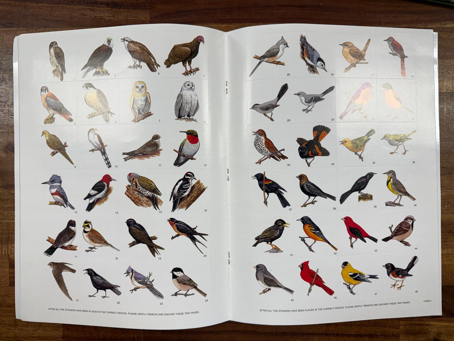 Beginning Birdwatcher's Book with 48 Stickers (VG)