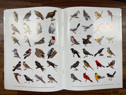 Beginning Birdwatcher's Book with 48 Stickers (VG)