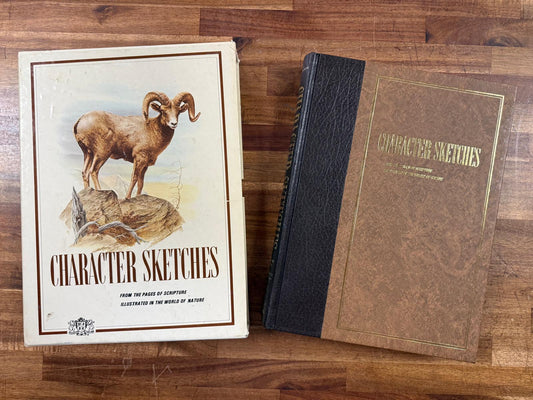 Character Sketches from the Pages of Scripture Vol 2 w Slipcase