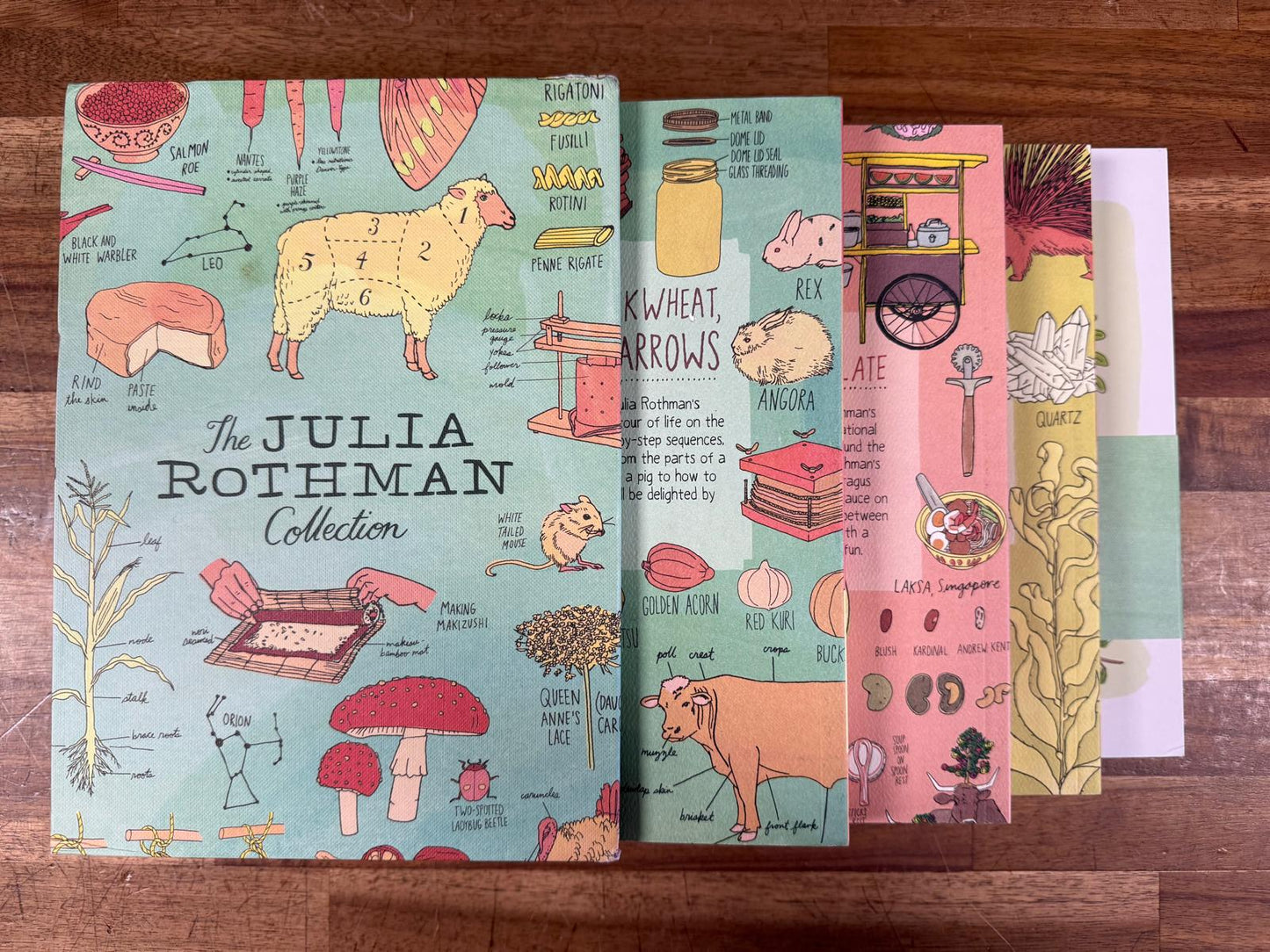 Julia Rothman Collection: Farm Nature Food Anatomy (VG)