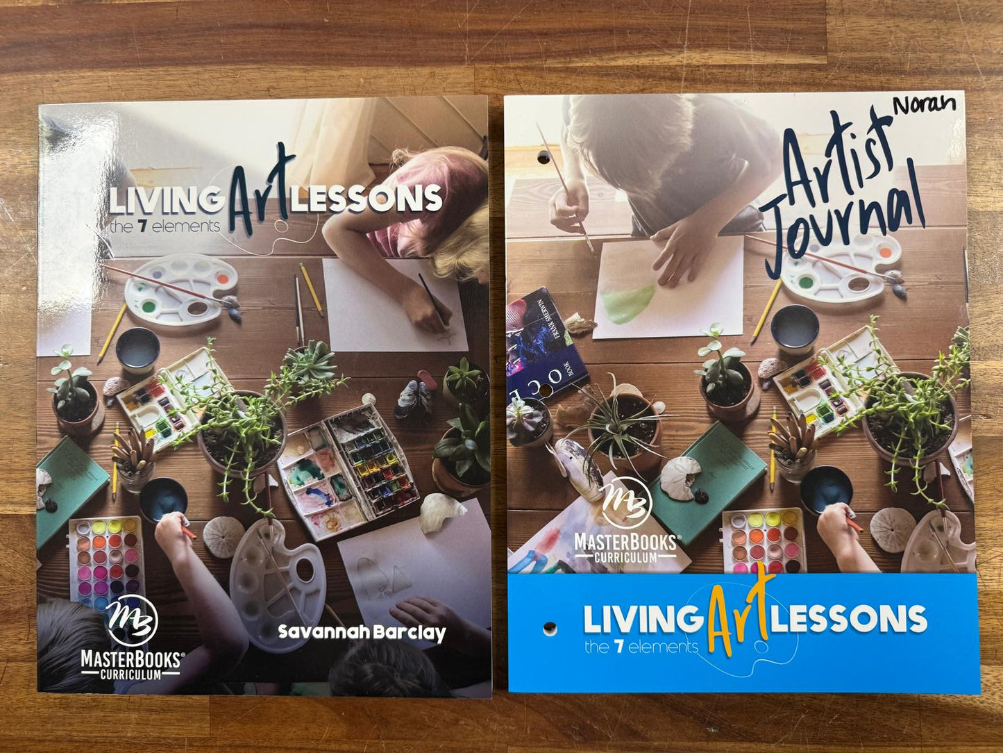 MB Living Art Lessons Text & Artist Journal SET (VG)