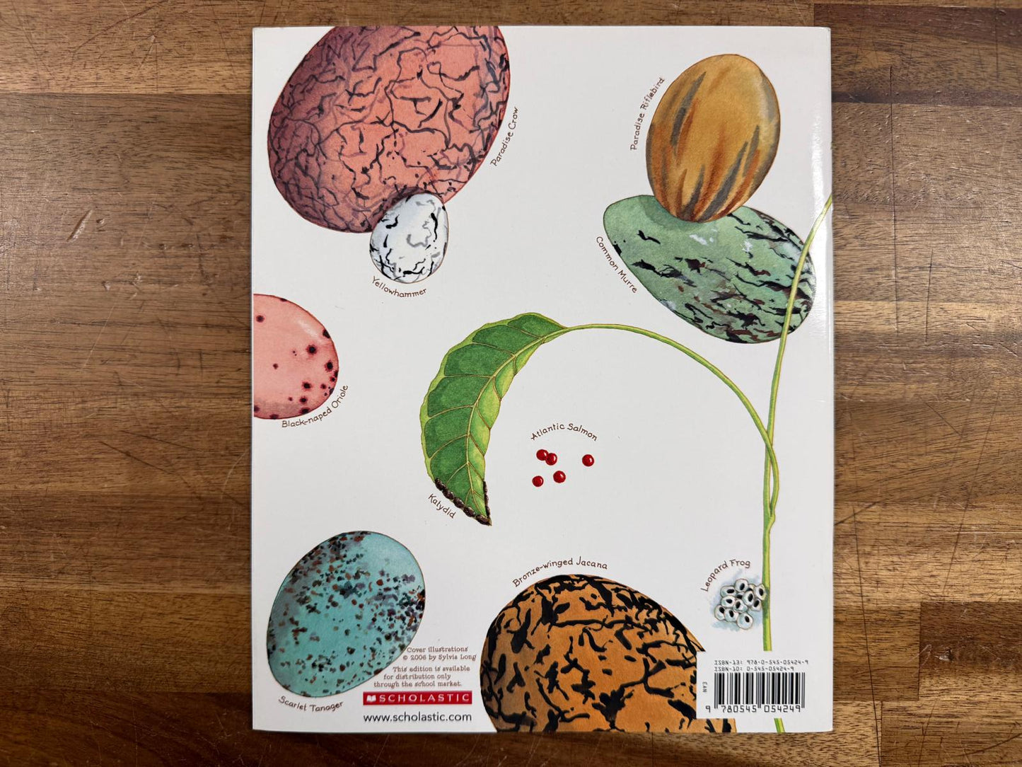 An Egg Is Quiet - Dianna Aston (Very Good)