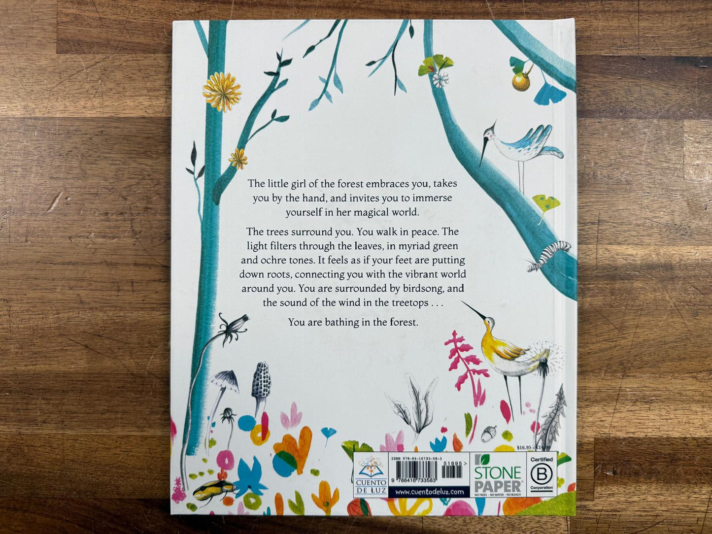 Bathing in the Forest Picture Book Marc Ayats (HC, VG)