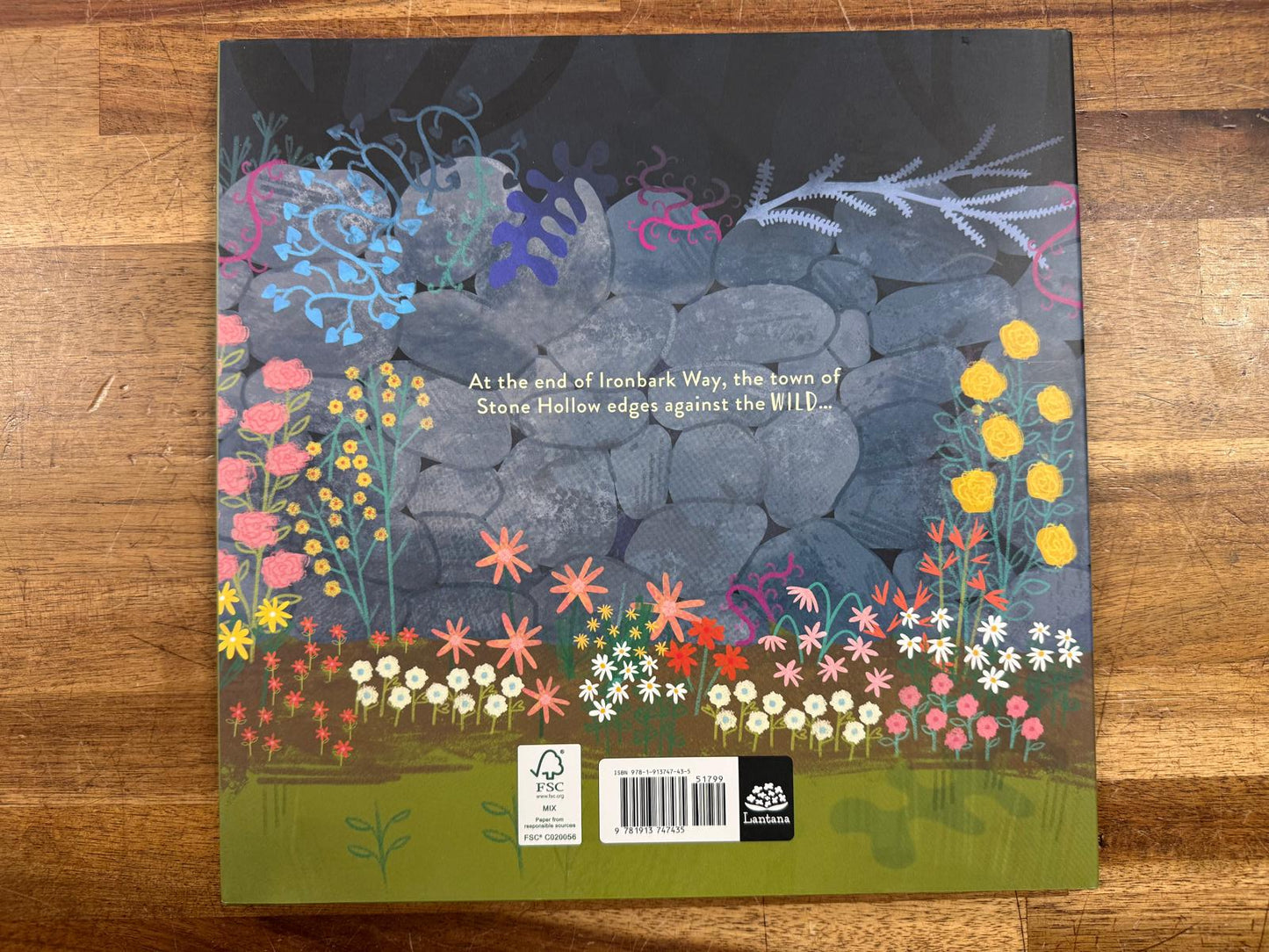 The Wall and the Wild Hardcover - Christina Dendy (HC, VG)
