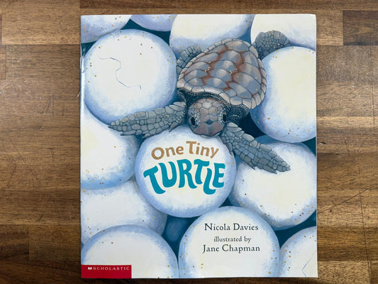 One Tiny Turtle - Nicola Davies (VG)