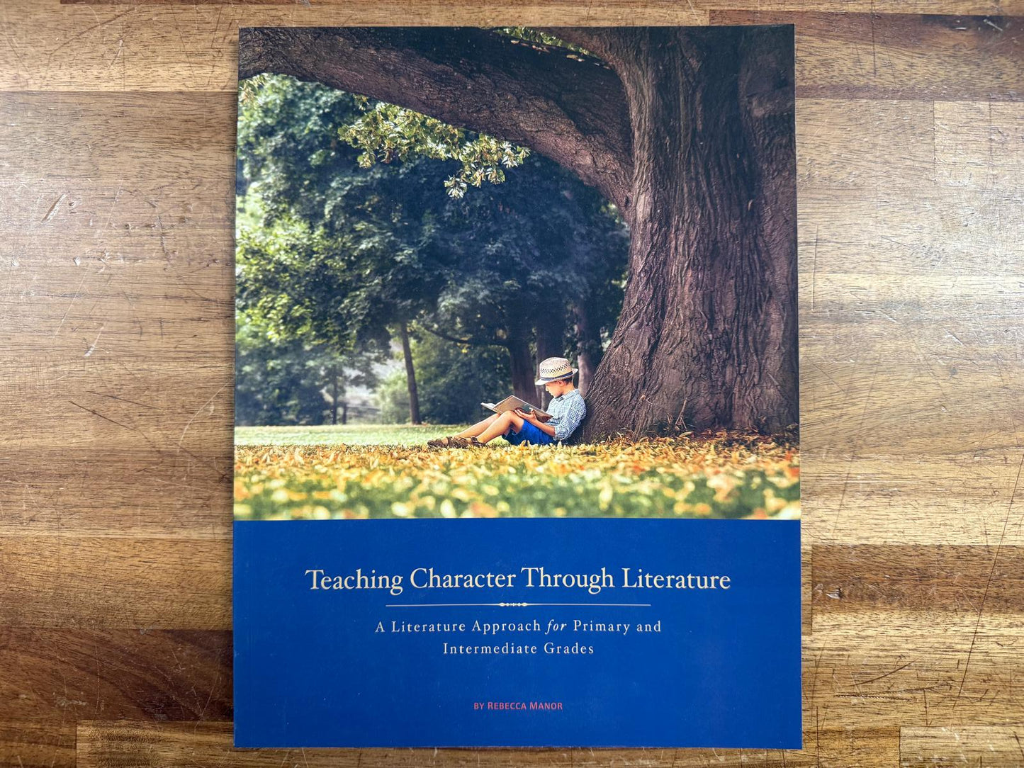 Teaching Character Through Literature - Rebecca Manor (VG)