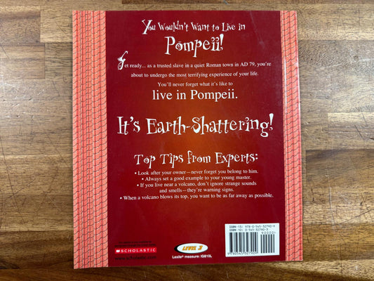 You Wouldn't Want to Live in Pompeii! (Good & Clean)