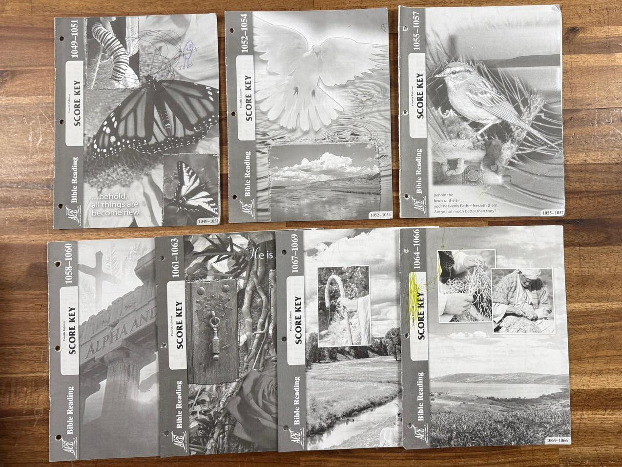ACE PACE Bible Reading 4th Ed Score Key 1049-1069 Lot 7