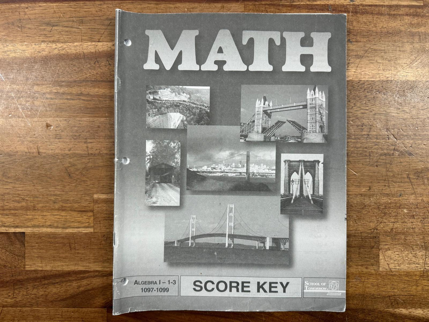 ACE PACE Algebra I: 1-3 Sore Key 1097-1099 (Good)