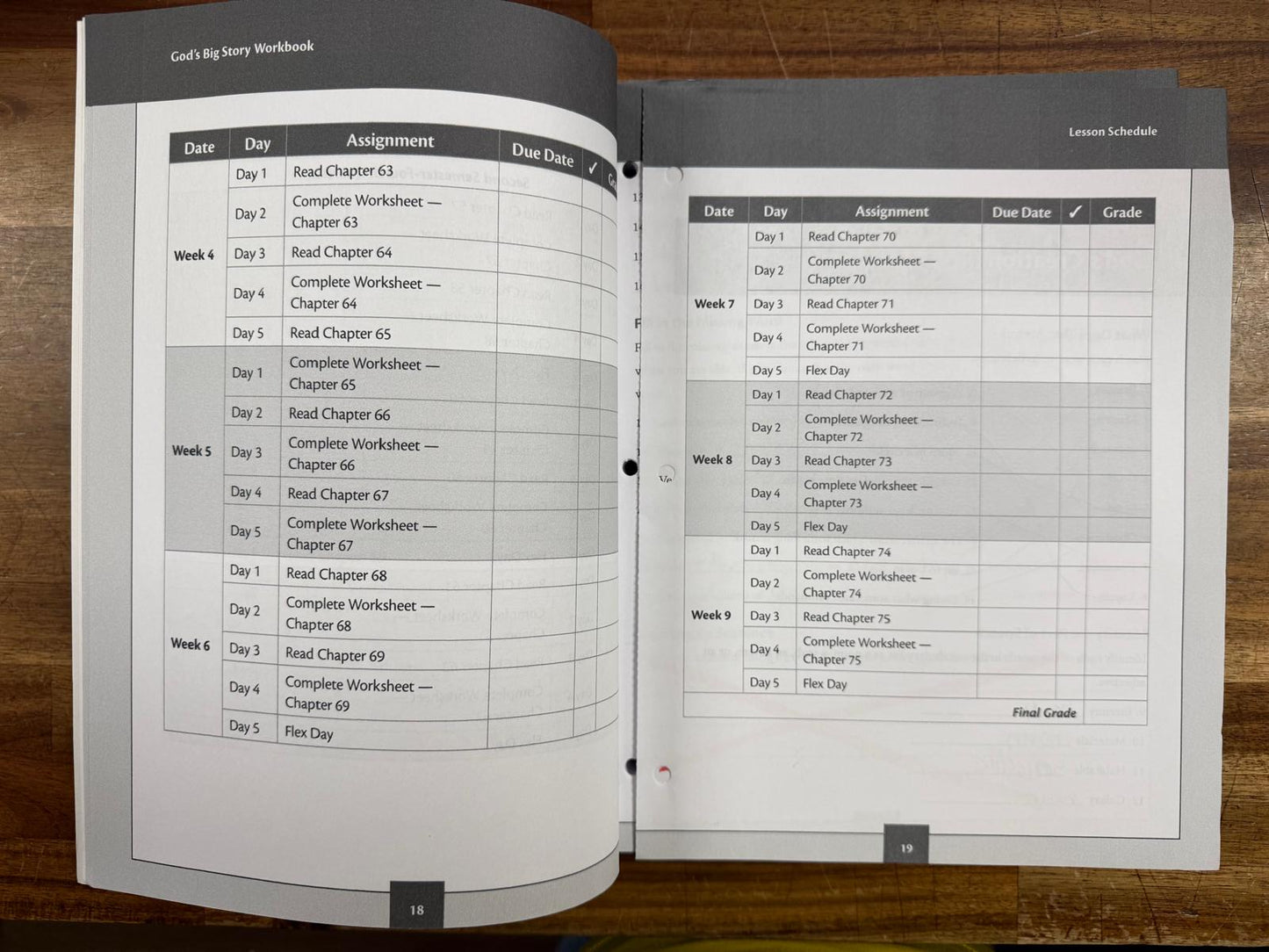 God's Big Story Level 5 Student Workbook (See Description)