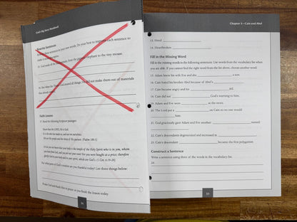 God's Big Story Level 5 Student Workbook (See Description)