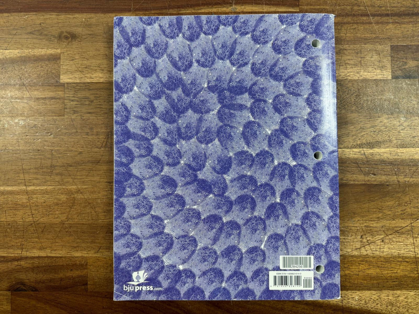 BJU Reading Grade 2 Student Worktext 3rd Edition (VG)