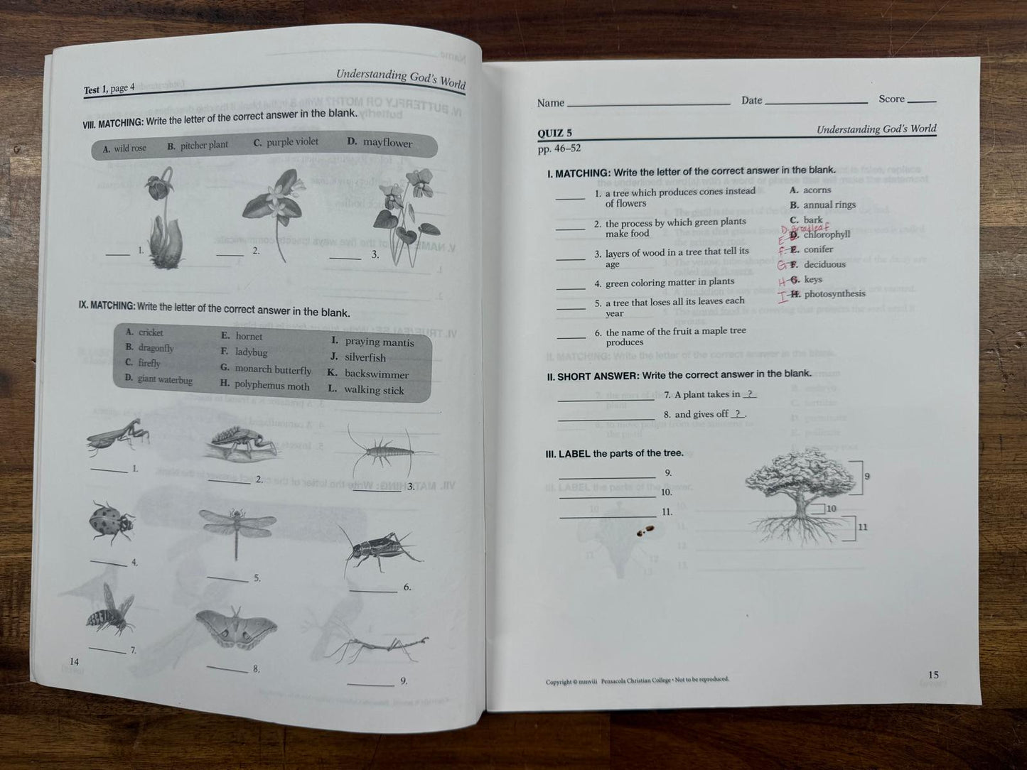 Abeka Understanding God's World 4th Ed Gr 4 SET of 3 (Good)