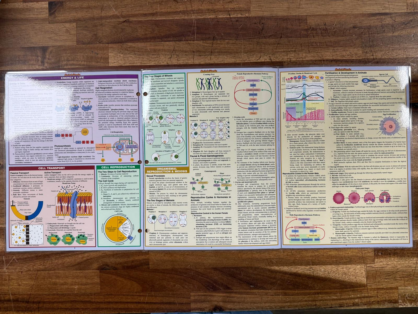 Biology Laminated Quick Study Academic Guides (Very Good)