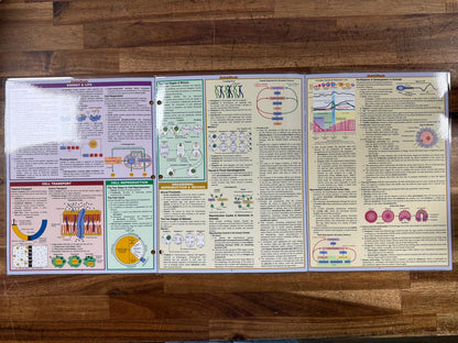 Biology Laminated Quick Study Academic Guides (Very Good)