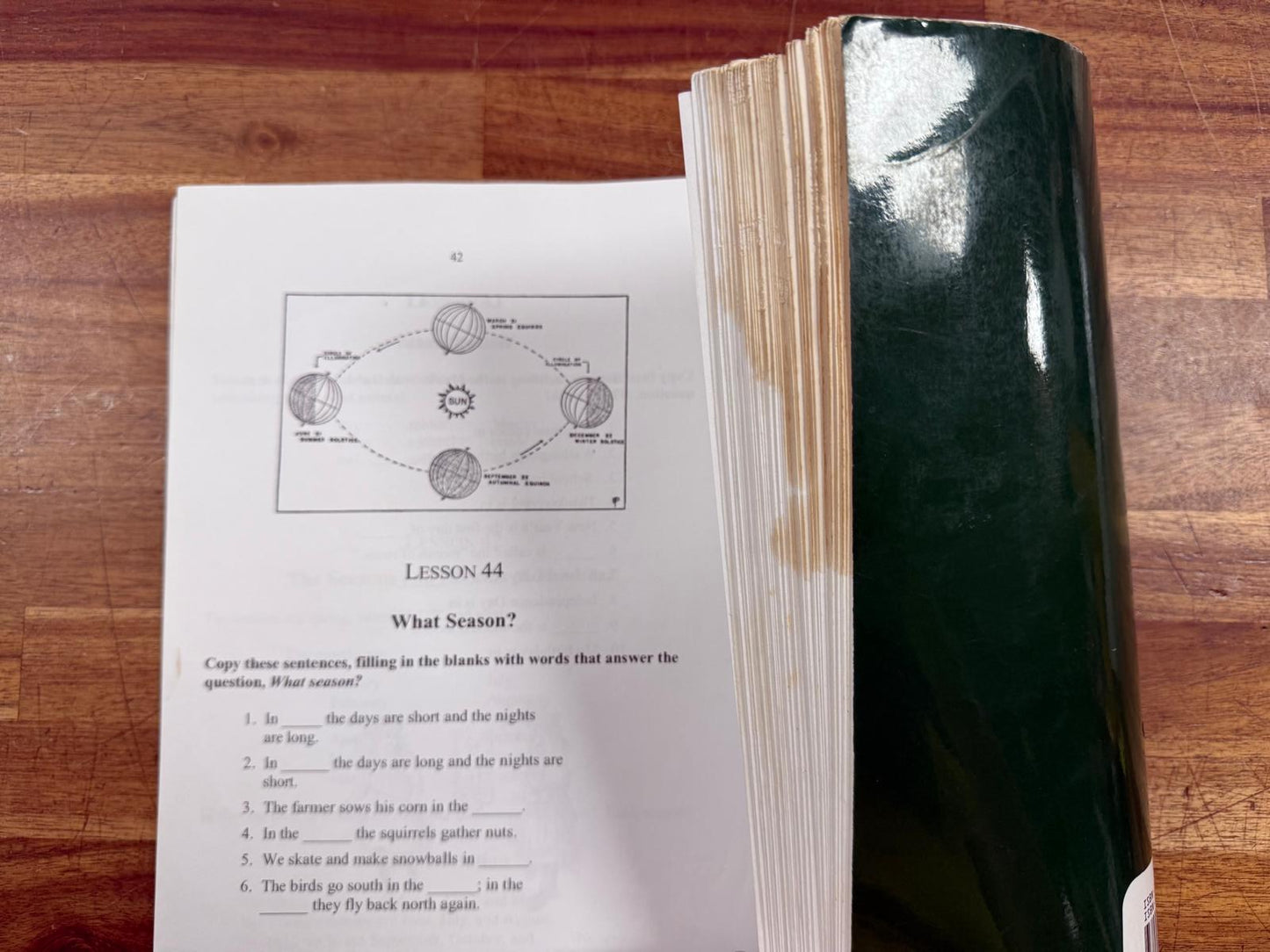 Primary Language Lessons (Lingua Mater) - Emma Serl