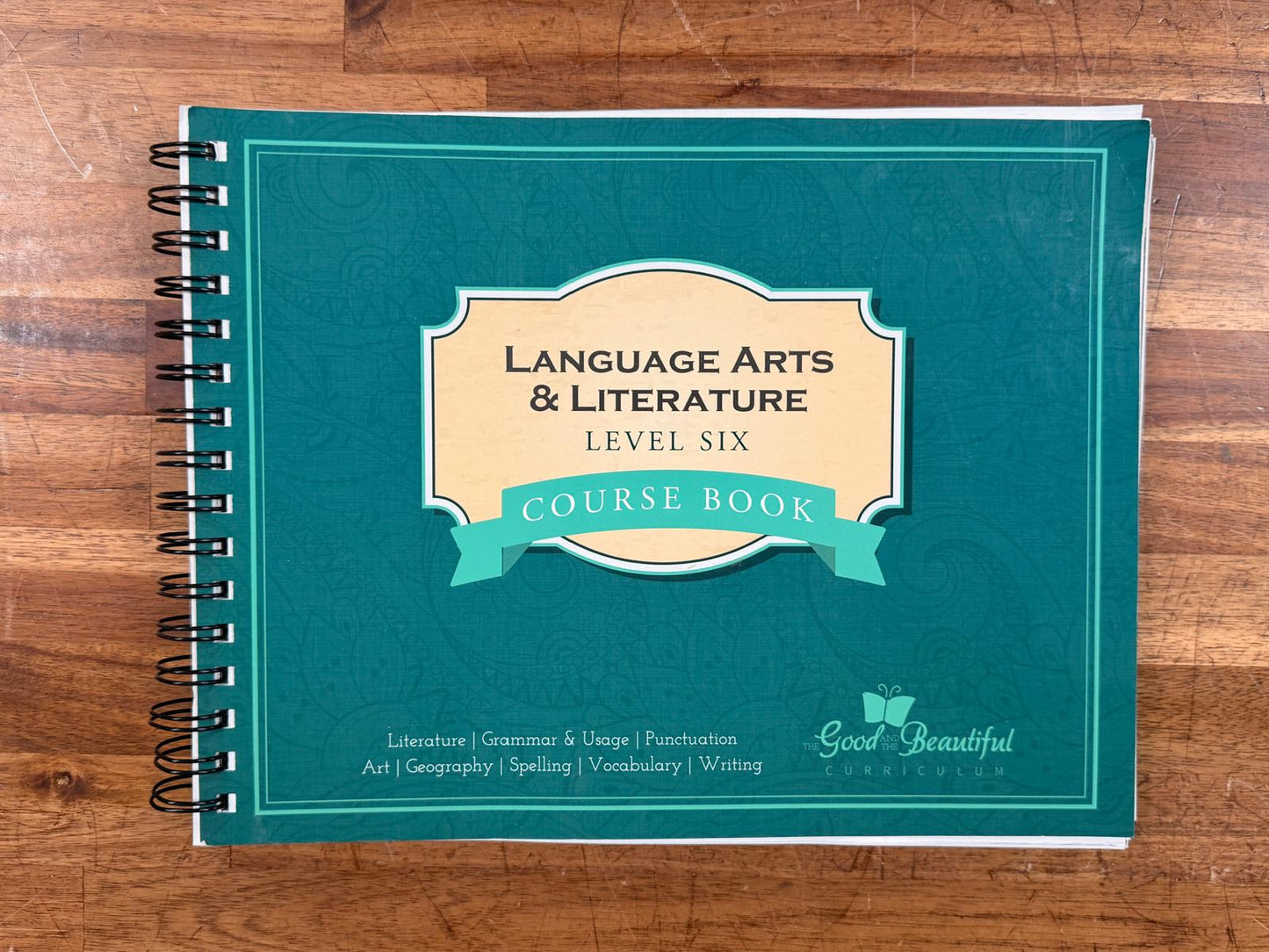 TGTB Language Arts Level 6 Materials LOT