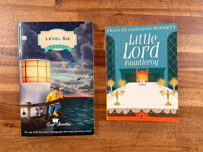 TGTB Language Arts Level 6 Materials LOT