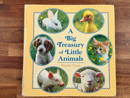 A Big Treasury of Little Animals by Phoebe Dunn