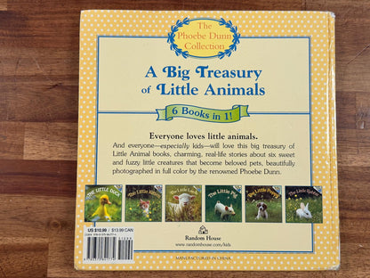 A Big Treasury of Little Animals by Phoebe Dunn