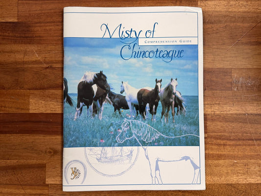 VP Misty of Chincoteague Comprehension Guide