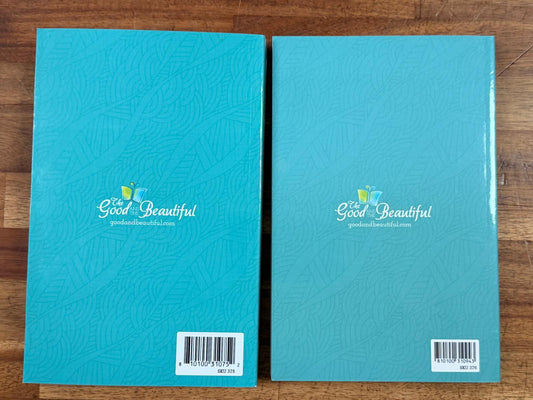 TGTB Level 4 Readers LOT of 2
