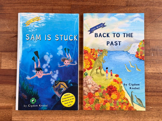 Decodable Chapter Book LOT of 2 by Cigdem Knebel