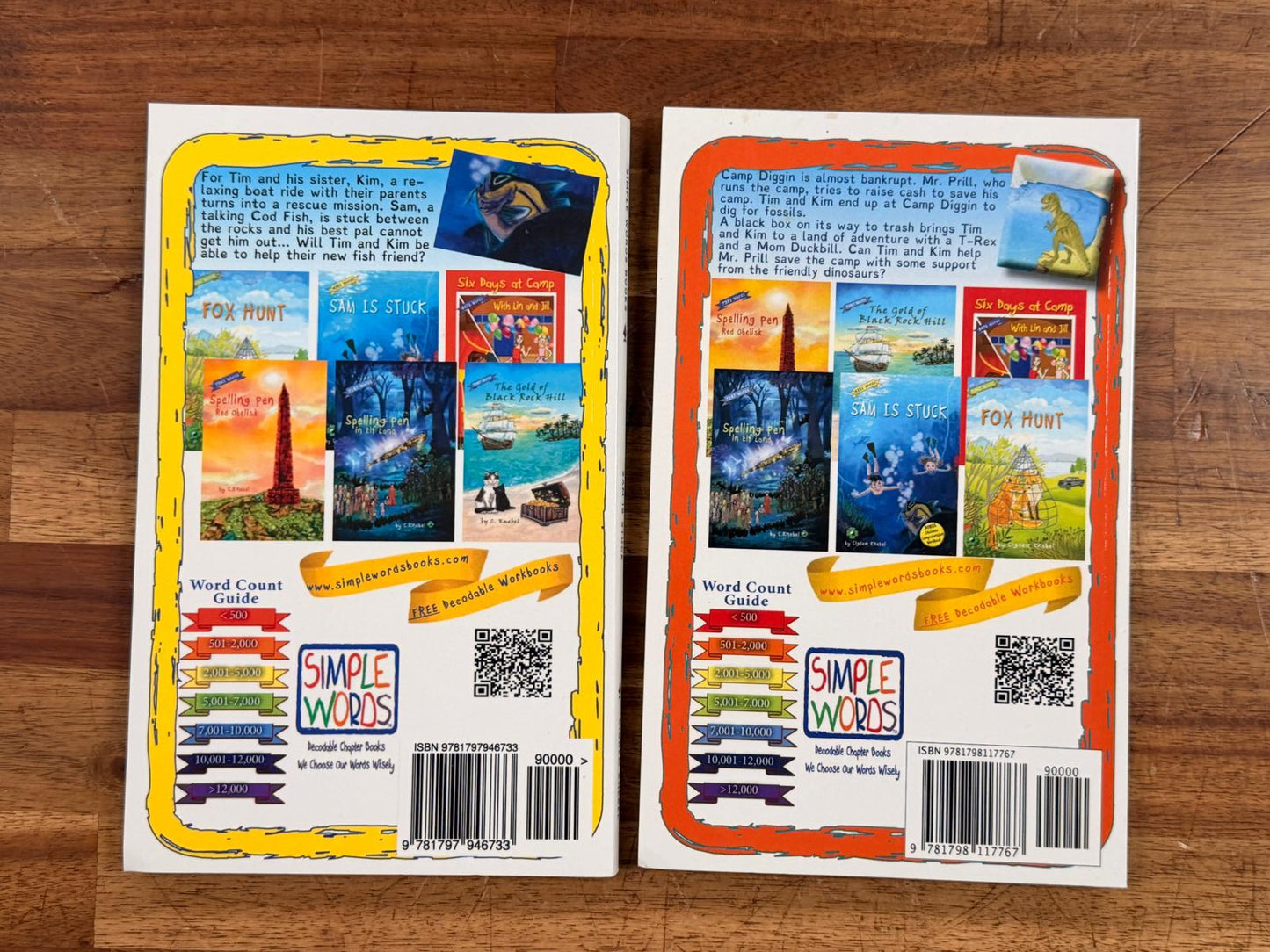 Decodable Chapter Book LOT of 2 by Cigdem Knebel