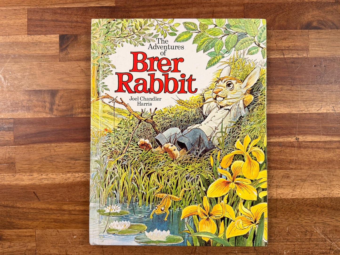 The Adventures of Brer Rabbit by Joel Harris (1980)
