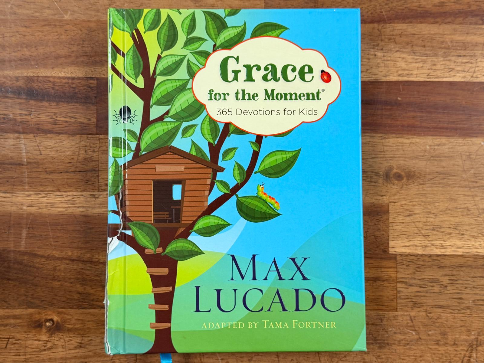 Grace for the Moment - 365 Devotions For Kids