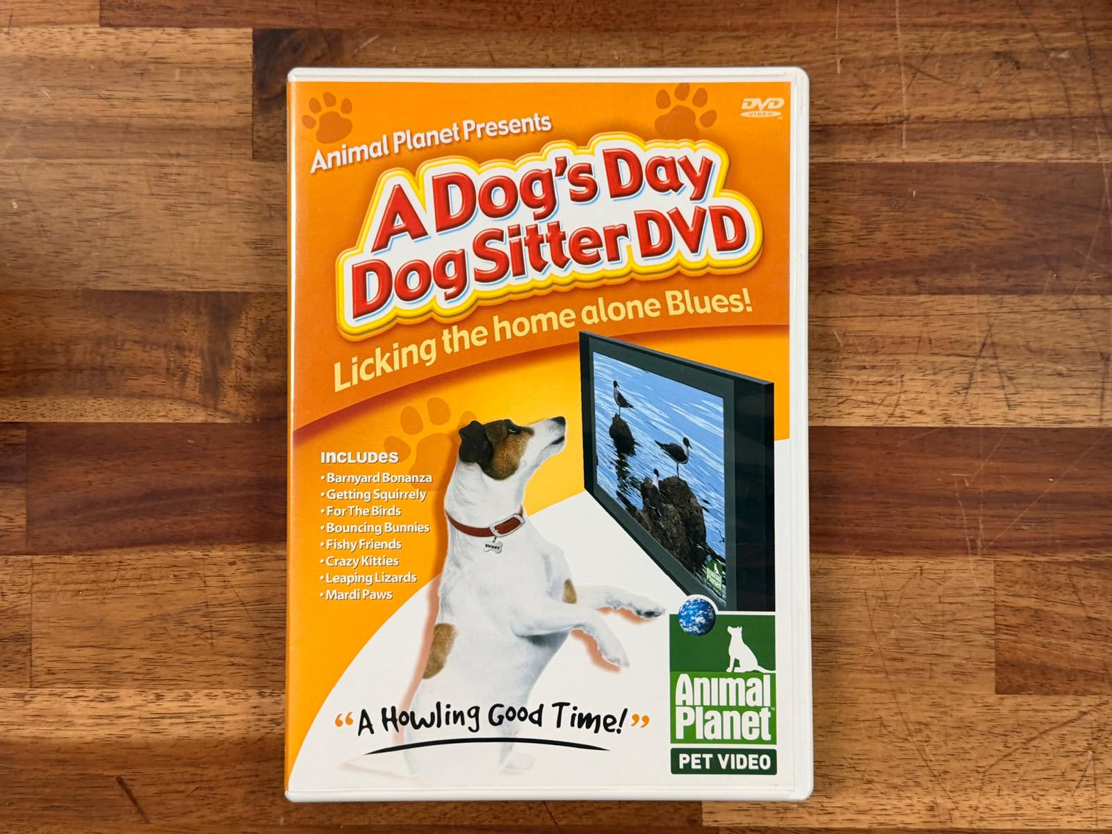 A Dog's Day DogSitter DVD by Animal Planet DVD